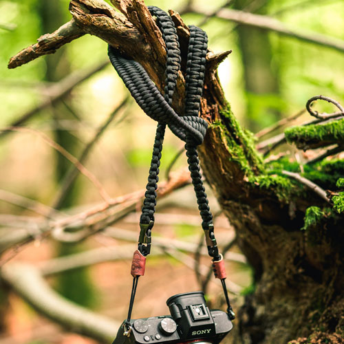Man sieht eine Kamera, die am Traveler Kamera Gurt befestigt von einem Baum herunterhängt.