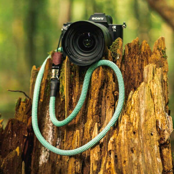 Das Bild bildet eine Kamera mit dem entsprechenden Kamera Gurt in der Farbe Mighty Mint auf einem alten Baum ab.