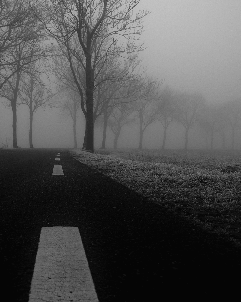 Nutze auch Filter in der Nebelfotografie | C-Rope Kamerazubehör