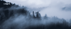 So gelingen Dir Nebelbilder | C-Rope Kamerazubehör